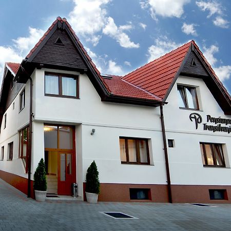 Pensiunea Transilvania シビウ エクステリア 写真