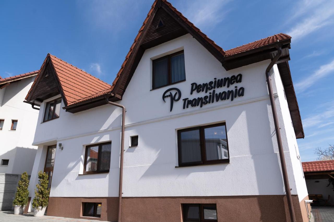 Pensiunea Transilvania シビウ エクステリア 写真